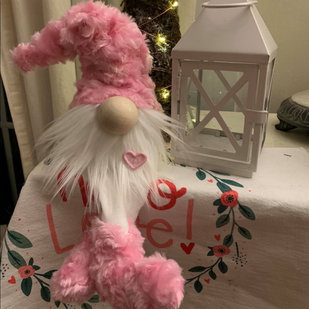 Valentine Gnome